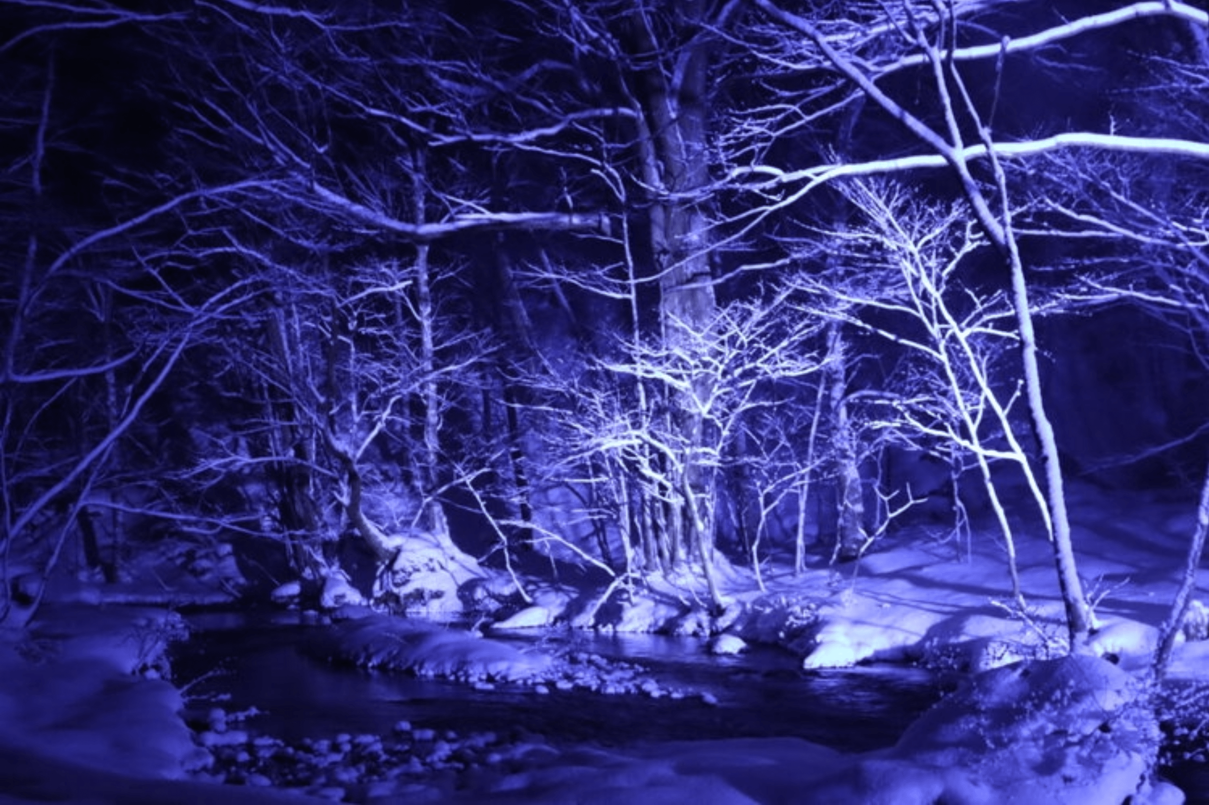 Towada Travel - 奥入瀬渓流氷瀑ツアー